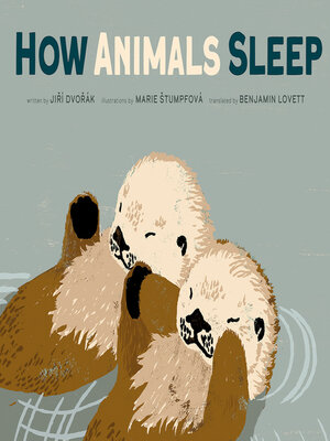 cover image of How Animals Sleep